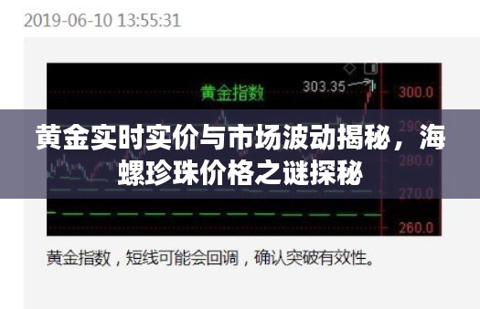 黄金实时实价与市场波动揭秘,海螺珍珠价格之谜探秘
