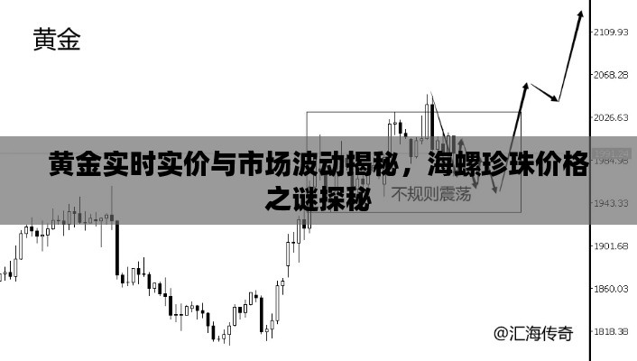 黄金实时实价与市场波动揭秘,海螺珍珠价格之谜探秘