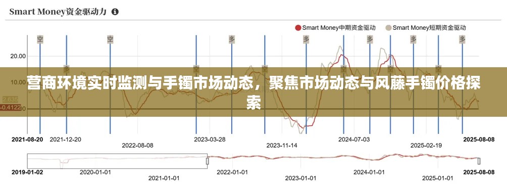 营商环境实时监测与手镯市场动态,聚焦市场动态与风藤手镯价格探索