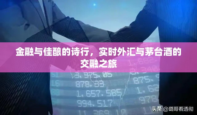 金融与佳酿的诗行,实时外汇与茅台酒的交融之旅
