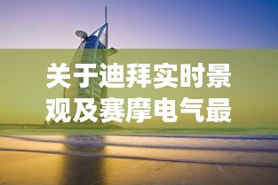 关于迪拜实时景观及赛摩电气最新公告的深度剖析