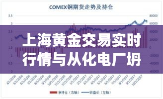 上海黄金交易实时行情与从化电厂坍塌的最新消息解读