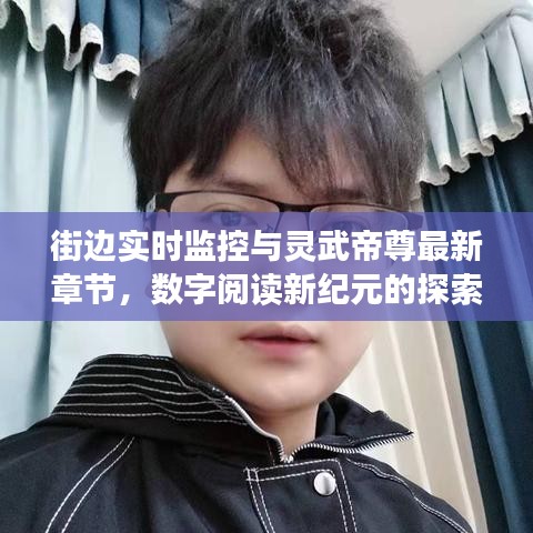 街边实时监控与灵武帝尊最新章节,数字阅读新纪元的探索