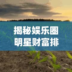 揭秘娱乐圈明星财富排行榜及大豆产业最新动态