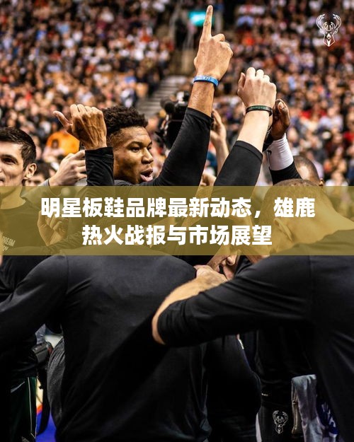 明星板鞋品牌最新动态,雄鹿热火战报与市场展望