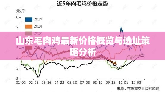 山东毛肉鸡最新价格概览与选址策略分析