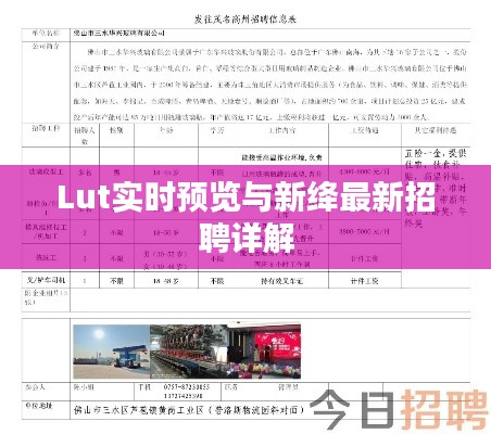 Lut实时预览与新绛最新招聘详解