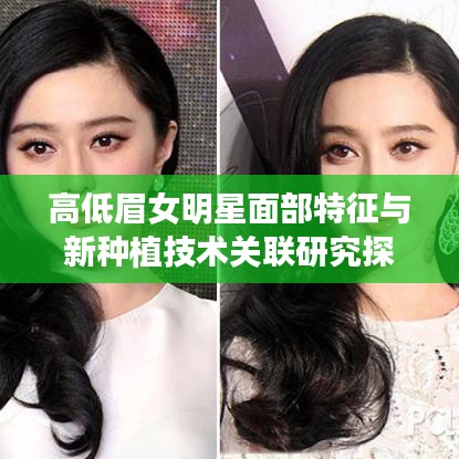 高低眉女明星面部特征与新种植技术关联研究探索