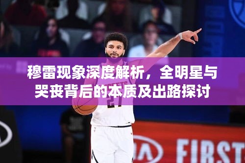 穆雷现象深度解析,全明星与哭丧背后的本质及出路探讨