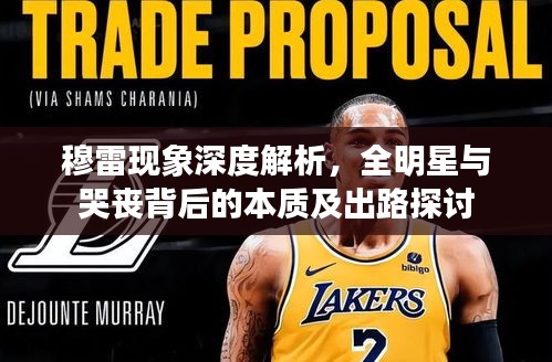 穆雷现象深度解析,全明星与哭丧背后的本质及出路探讨