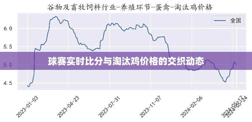 球赛实时比分与淘汰鸡价格的交织动态