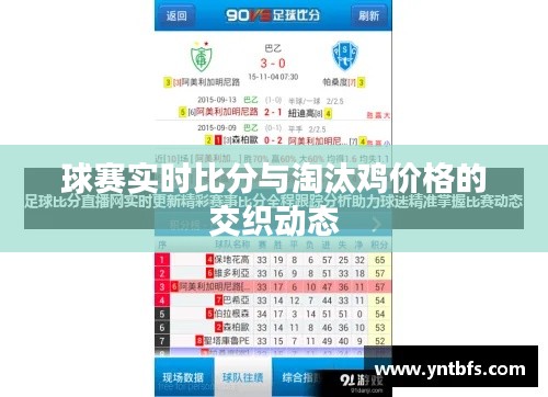 球赛实时比分与淘汰鸡价格的交织动态