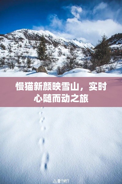 慢猫新颜映雪山,实时心随而动之旅