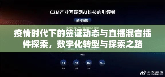 疫情时代下的签证动态与直播混音插件探索，数字化转型与探索之路