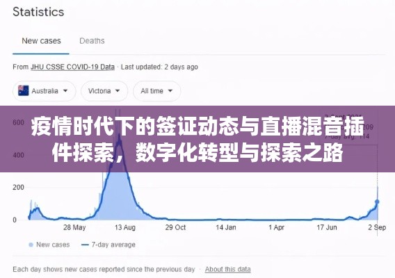 疫情时代下的签证动态与直播混音插件探索,数字化转型与探索之路