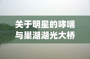 网站案例 第85页