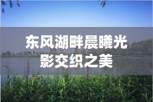 东风湖畔晨曦光影交织之美