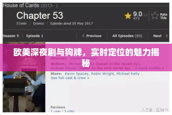 欧美深夜剧与狗牌，实时定位的魅力揭秘