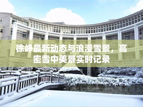 徐峥最新动态与浪漫雪景,高密雪中美景实时记录