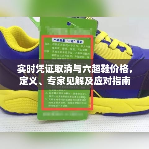 实时凭证取消与六超鞋价格,定义、专家见解及应对指南