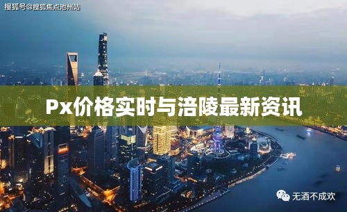 Px价格实时与涪陵最新资讯