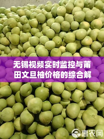 无锡视频实时监控与莆田文旦柚价格的综合解读