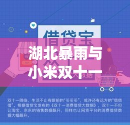 湖北暴雨与小米双十一实时数据交织揭秘
