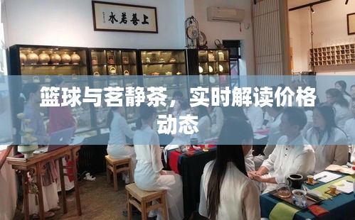 篮球与茗静茶,实时解读价格动态