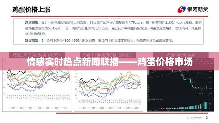 情感实时热点新闻联播——鸡蛋价格市场