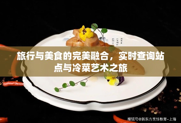 旅行与美食的完美融合,实时查询站点与冷菜艺术之旅