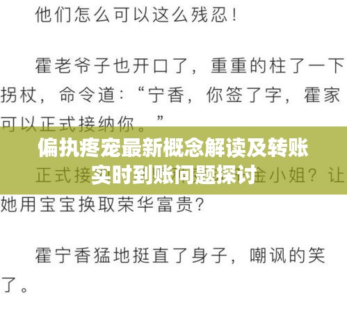 偏执疼宠最新概念解读及转账实时到账问题探讨