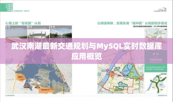 武汉南湖最新交通规划与MySQL实时数据库应用概览
