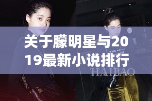 关于朦明星与2019最新小说排行的深度解析