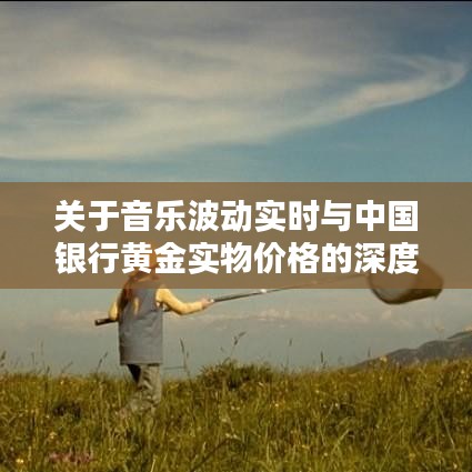 关于音乐波动实时与中国银行黄金实物价格的深度解析