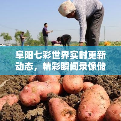 阜阳七彩世界实时更新动态,精彩瞬间录像储存,不容错过!