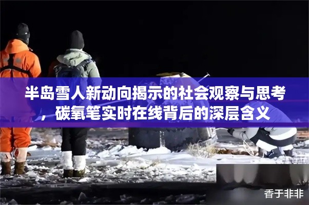 半岛雪人新动向揭示的社会观察与思考，碳氧笔实时在线背后的深层含义