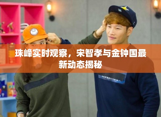 珠峰实时观察,宋智孝与金钟国最新动态揭秘