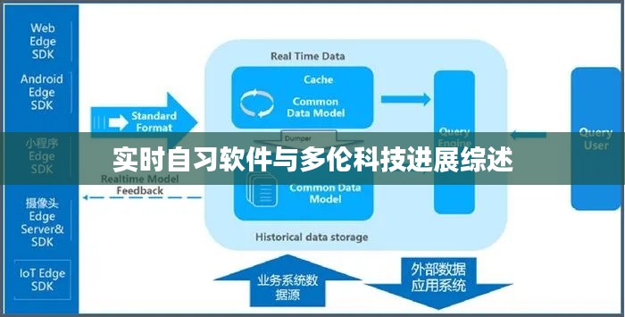 实时自习软件与多伦科技进展综述