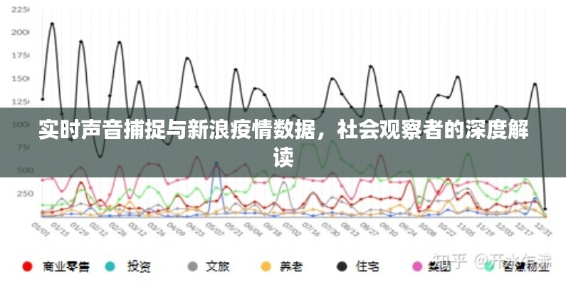 实时声音捕捉与新浪疫情数据，社会观察者的深度解读