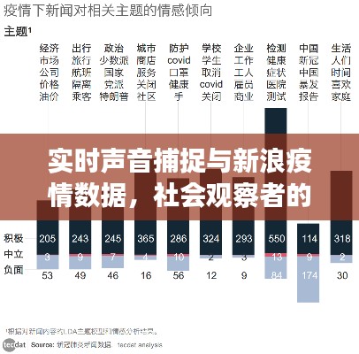 实时声音捕捉与新浪疫情数据,社会观察者的深度解读