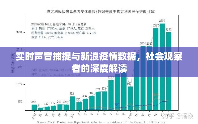 实时声音捕捉与新浪疫情数据,社会观察者的深度解读