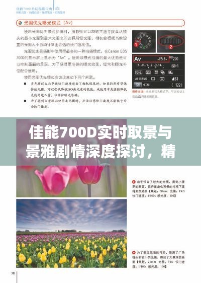 佳能700D实时取景与景雅剧情深度探讨,精彩解析与探讨