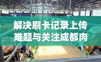 解决刷卡记录上传难题与关注成都肉牛价格动态