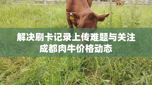 解决刷卡记录上传难题与关注成都肉牛价格动态