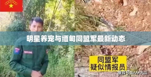 鸟革翬飞 第2页