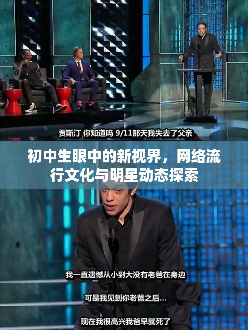 初中生眼中的新视界,网络流行文化与明星动态探索
