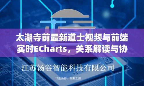 太湖寺前最新道士视频与前端实时ECharts，关系解读与协同落实建议