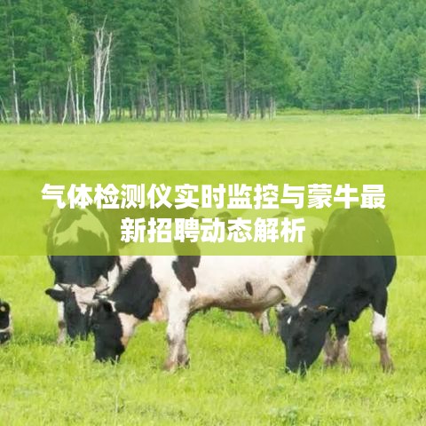 气体检测仪实时监控与蒙牛最新招聘动态解析