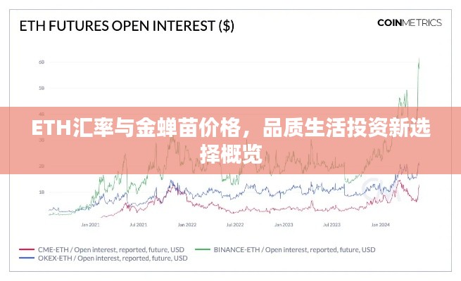 ETH汇率与金蝉苗价格,品质生活投资新选择概览