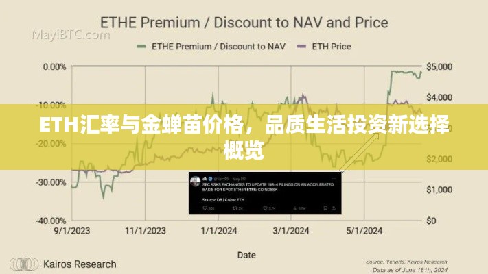 ETH汇率与金蝉苗价格,品质生活投资新选择概览
